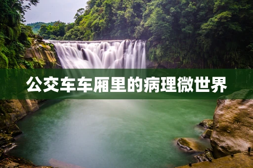 公交车车厢里的病理微世界