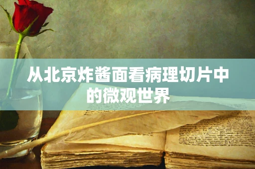 从北京炸酱面看病理切片中的微观世界