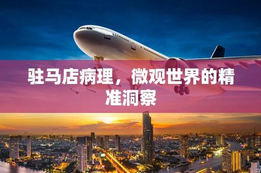 驻马店病理，微观世界的精准洞察