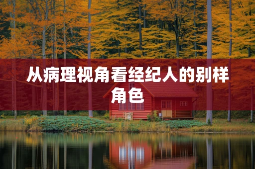 从病理视角看经纪人的别样角色