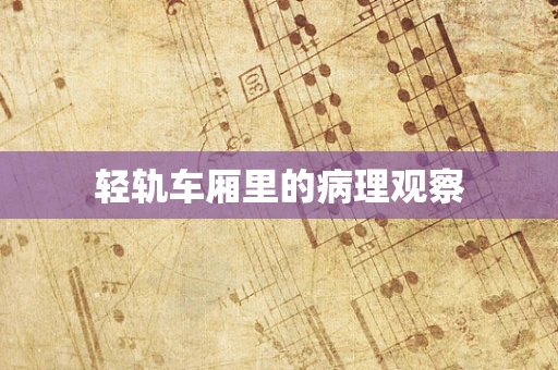 轻轨车厢里的病理观察