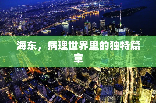 海东，病理世界里的独特篇章