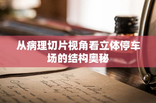 从病理切片视角看立体停车场的结构奥秘