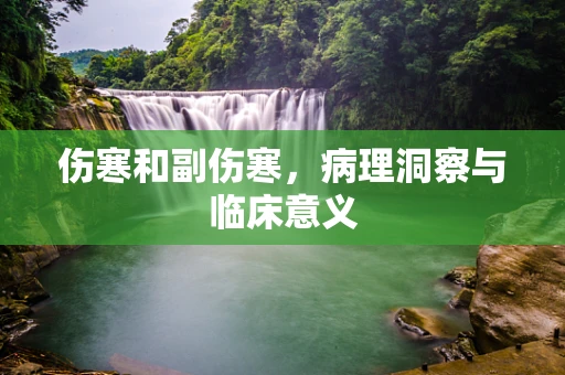 伤寒和副伤寒，病理洞察与临床意义
