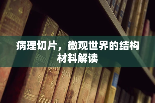 病理切片，微观世界的结构材料解读