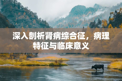 深入剖析肾病综合征，病理特征与临床意义