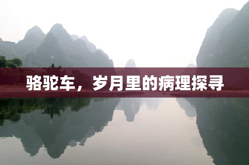 骆驼车，岁月里的病理探寻