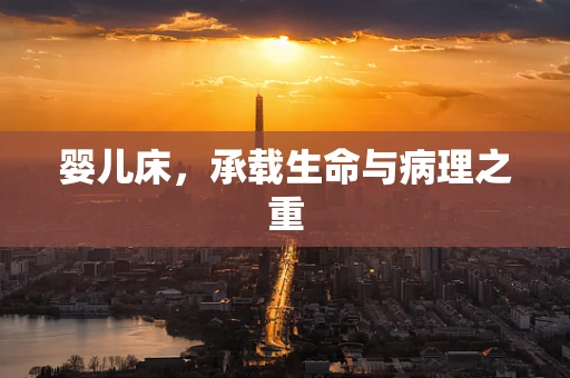 婴儿床，承载生命与病理之重