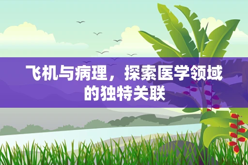 飞机与病理，探索医学领域的独特关联