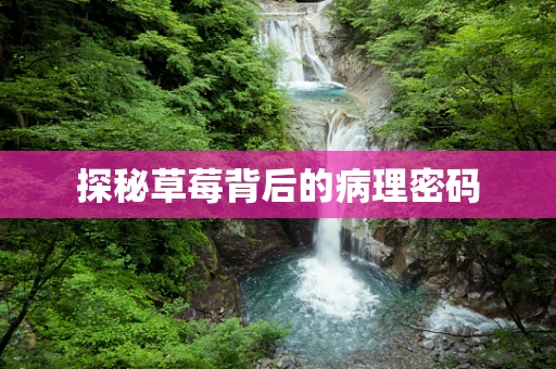 探秘草莓背后的病理密码