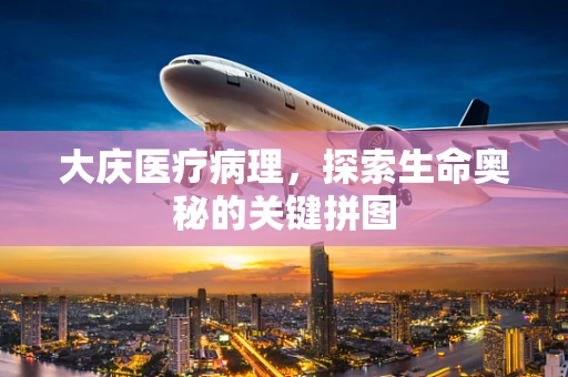 大庆医疗病理，探索生命奥秘的关键拼图