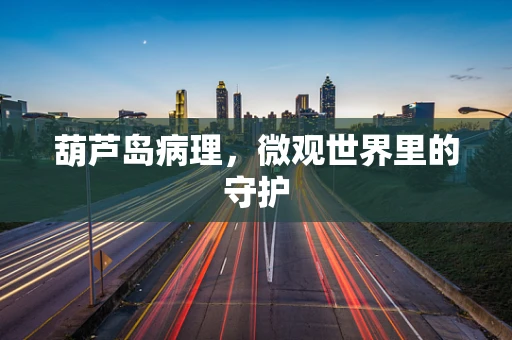 葫芦岛病理，微观世界里的守护