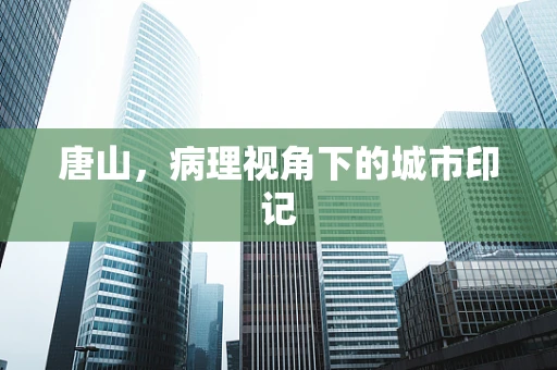 唐山，病理视角下的城市印记
