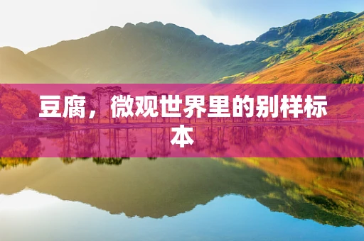 豆腐，微观世界里的别样标本