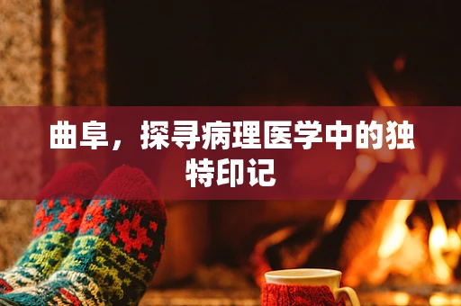 曲阜，探寻病理医学中的独特印记