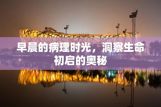 早晨的病理时光，洞察生命初启的奥秘