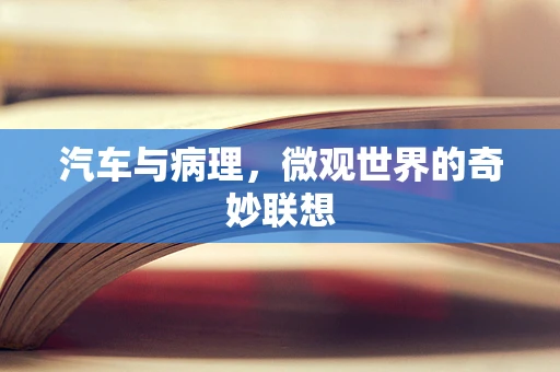汽车与病理，微观世界的奇妙联想