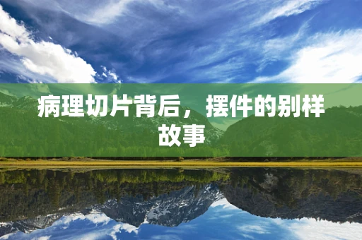 病理切片背后，摆件的别样故事
