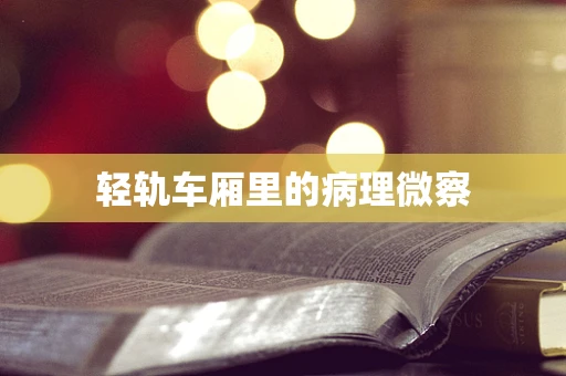 轻轨车厢里的病理微察