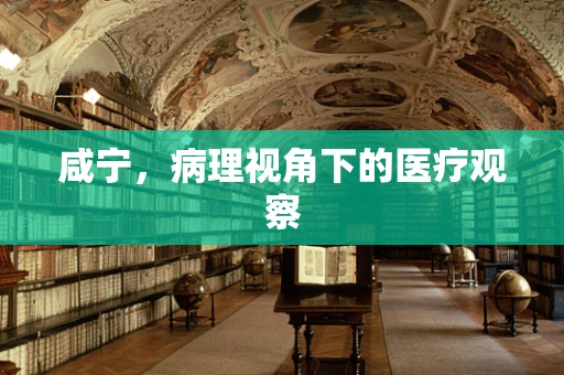 咸宁，病理视角下的医疗观察