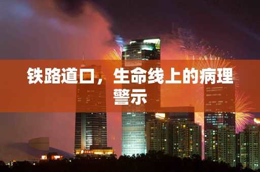 铁路道口，生命线上的病理警示