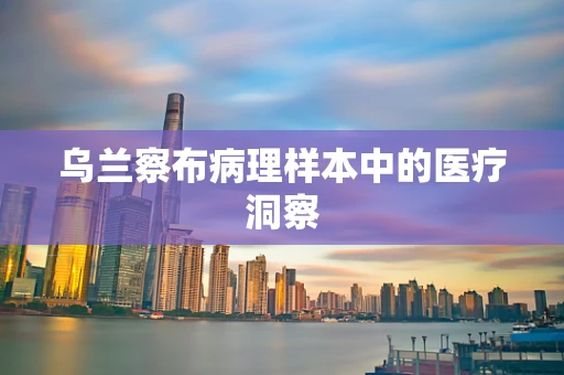 乌兰察布病理样本中的医疗洞察