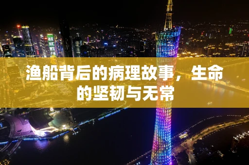 渔船背后的病理故事，生命的坚韧与无常