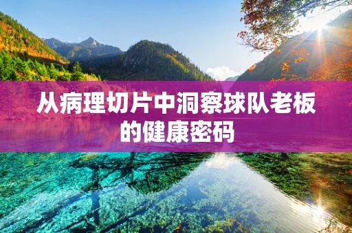 从病理切片中洞察球队老板的健康密码