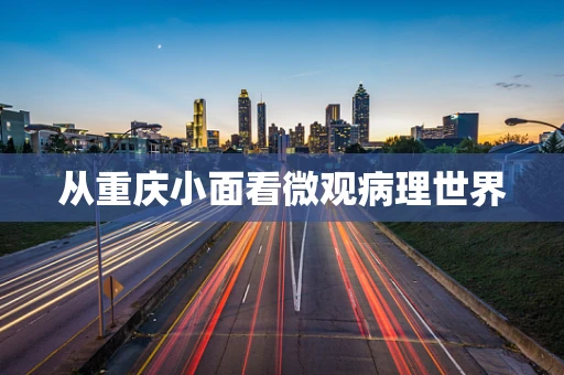 从重庆小面看微观病理世界