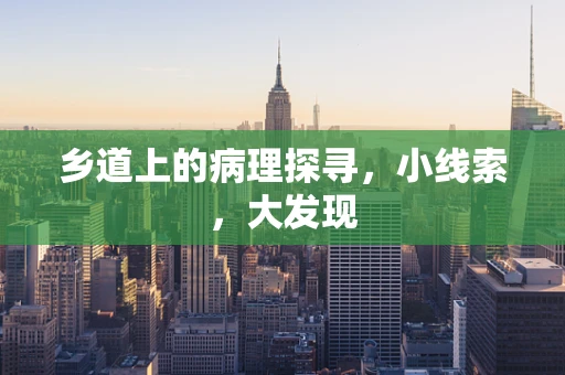 乡道上的病理探寻，小线索，大发现