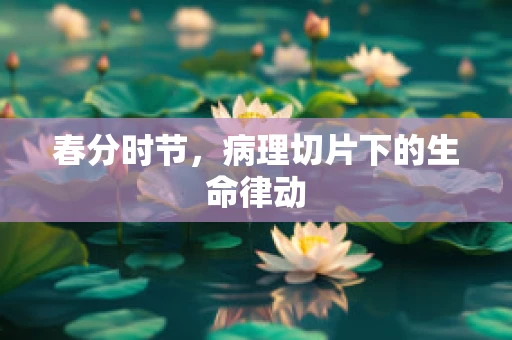 春分时节，病理切片下的生命律动