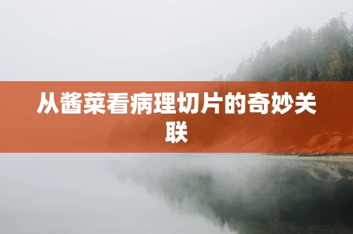从酱菜看病理切片的奇妙关联