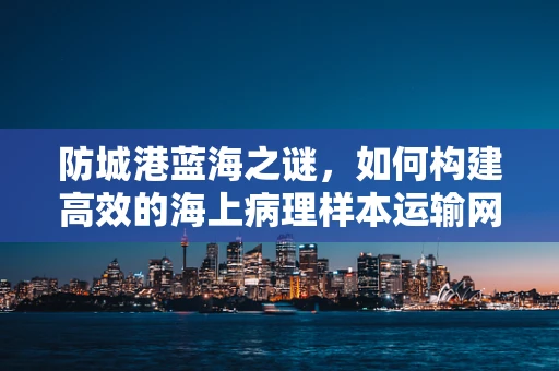 防城港蓝海之谜，如何构建高效的海上病理样本运输网络？