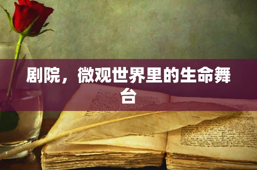 剧院，微观世界里的生命舞台