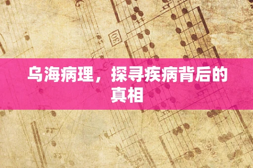 乌海病理，探寻疾病背后的真相