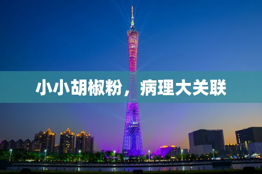 小小胡椒粉，病理大关联