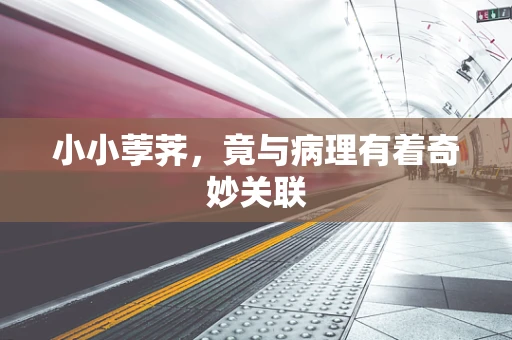 小小荸荠，竟与病理有着奇妙关联