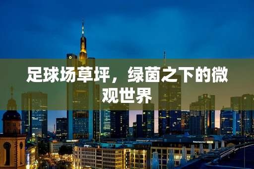 足球场草坪，绿茵之下的微观世界