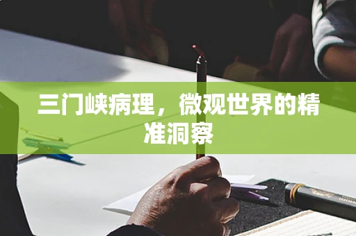 三门峡病理，微观世界的精准洞察