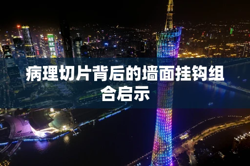 病理切片背后的墙面挂钩组合启示