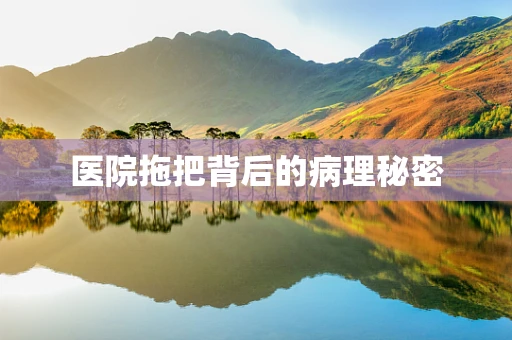 医院拖把背后的病理秘密