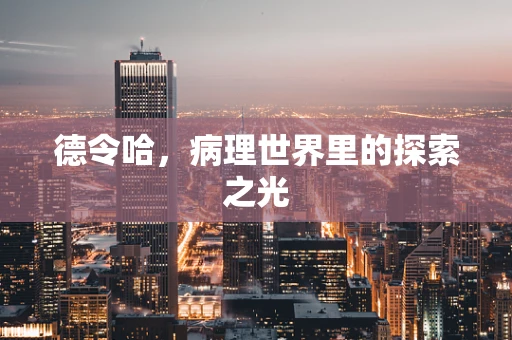 德令哈，病理世界里的探索之光