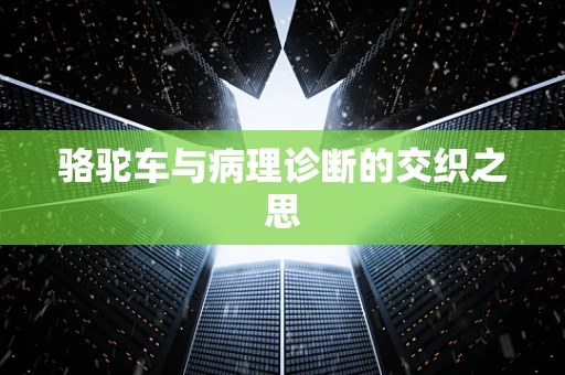 骆驼车与病理诊断的交织之思
