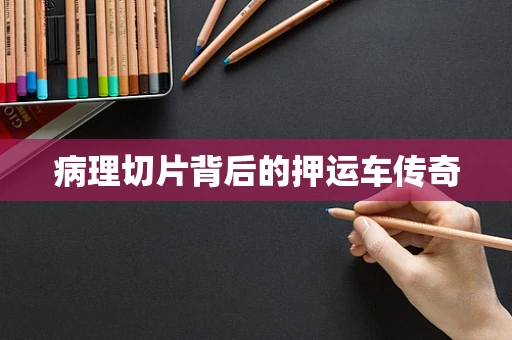 病理切片背后的押运车传奇