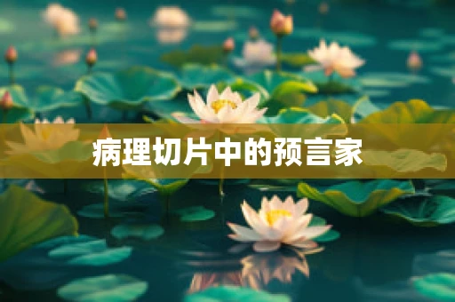 病理切片中的预言家