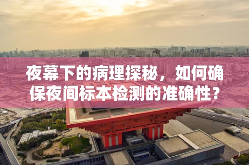 夜幕下的病理探秘，如何确保夜间标本检测的准确性？