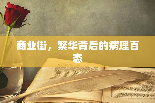 商业街，繁华背后的病理百态