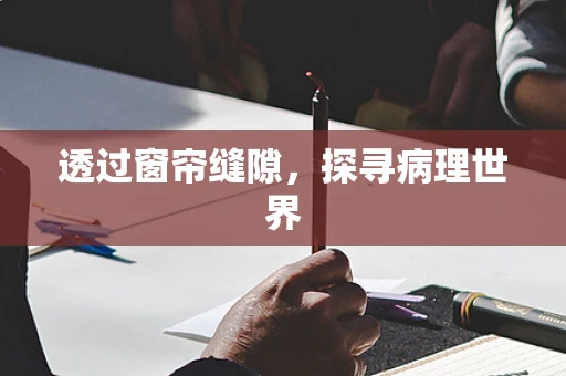 透过窗帘缝隙，探寻病理世界