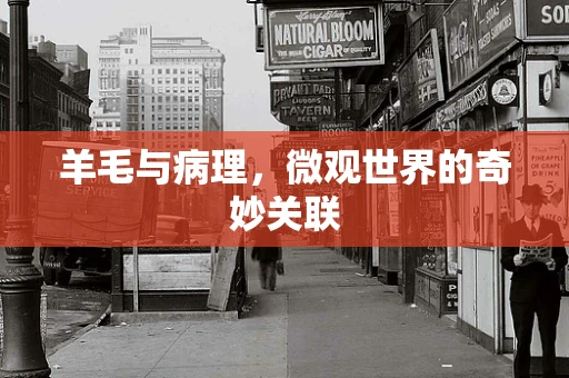 羊毛与病理，微观世界的奇妙关联