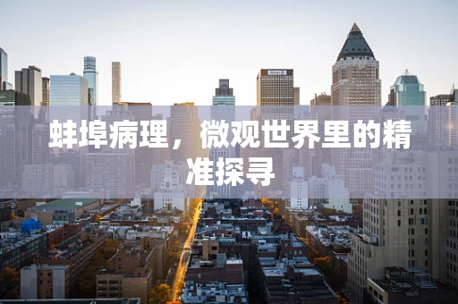 蚌埠病理，微观世界里的精准探寻